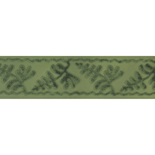 BRUNSCHWIG & FILS T8024101.30.0 CASSIS TAPE SAGE TRIM - Eade's Wallpaper
