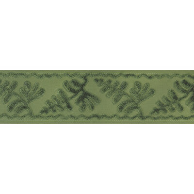 BRUNSCHWIG & FILS T8024101.30.0 CASSIS TAPE SAGE TRIM - Eade's Wallpaper