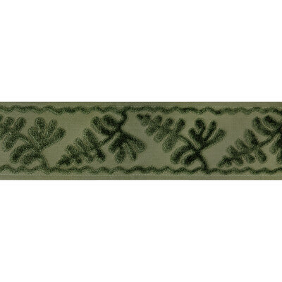 BRUNSCHWIG & FILS T8024101.3.0 CASSIS TAPE PERIDOT TRIM - Eade's Wallpaper