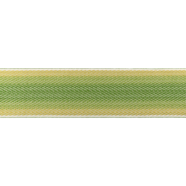 BRUNSCHWIG & FILS T8024105.3.0 BARFLEUR TAPE LEAF TRIM - Eade's Wallpaper