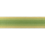 BRUNSCHWIG & FILS T8024105.3.0 BARFLEUR TAPE LEAF TRIM - Eade's Wallpaper