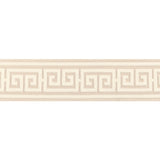 BRUNSCHWIG & FILS T8024106.1116.0 PAROS TAPE PEARL TRIM - Eade's Wallpaper