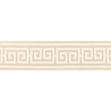 BRUNSCHWIG & FILS T8024106.1116.0 PAROS TAPE PEARL TRIM - Eade's Wallpaper