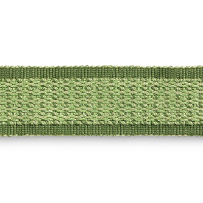 BRUNSCHWIG & FILS MONTCEL BRAID T8025103.3.0 in LEAF Fabric 