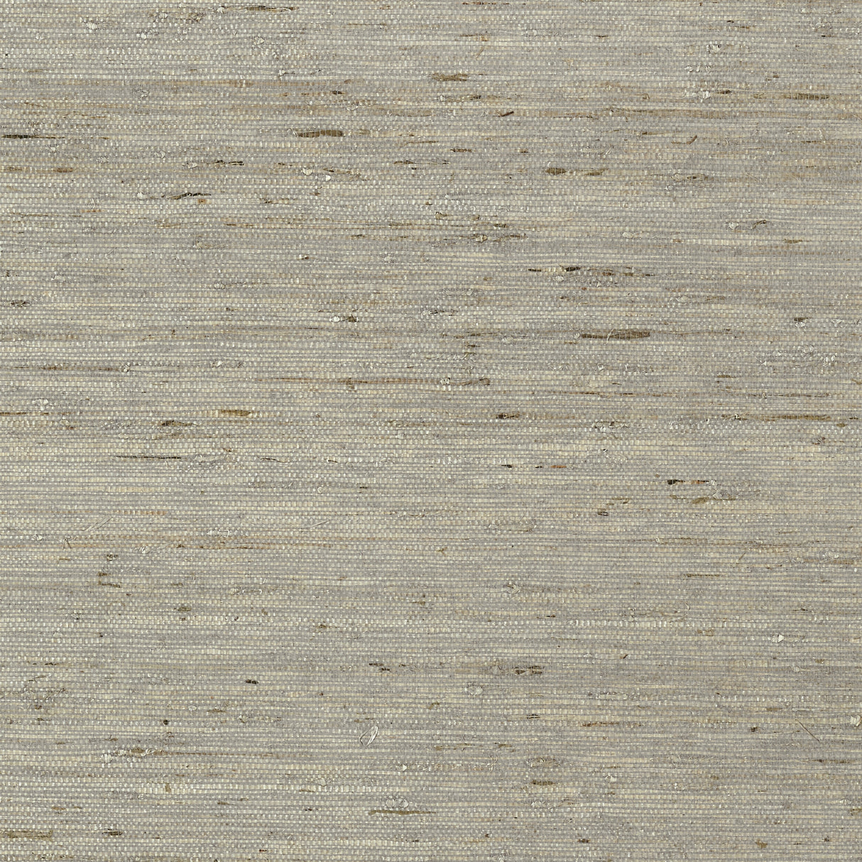 Thibaut T85005 MARANTA ARROWROOT Grey Wallpaper
