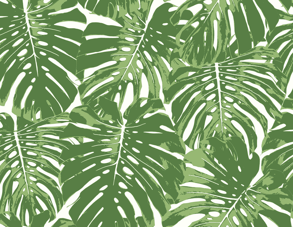 Seabrook Designs TA20004 Wallpaper - Eade's Wallpaper & Fabric