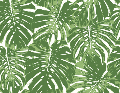 Seabrook Designs TA20004 Wallpaper - Eade's Wallpaper & Fabric