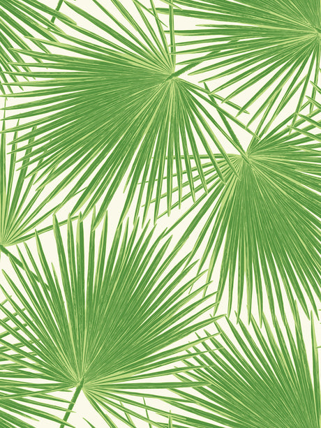 Seabrook Designs TA20204 Wallpaper - Eade's Wallpaper & Fabric