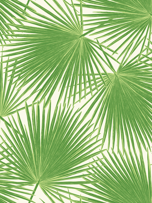 Seabrook Designs TA20204 Wallpaper - Eade's Wallpaper & Fabric