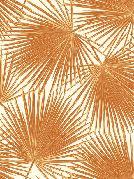 Seabrook Designs TA20206 Wallpaper - Eade's Wallpaper & Fabric