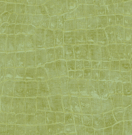 Seabrook Designs TA20504 Wallpaper - Eade's Wallpaper & Fabric