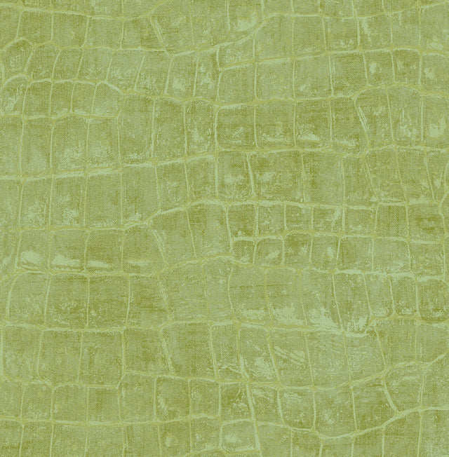 Seabrook Designs TA20504 Wallpaper - Eade's Wallpaper & Fabric