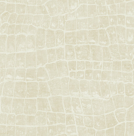 Seabrook Designs TA20505 Wallpaper - Eade's Wallpaper & Fabric