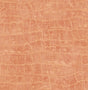 Seabrook Designs TA20516 Wallpaper - Eade's Wallpaper & Fabric