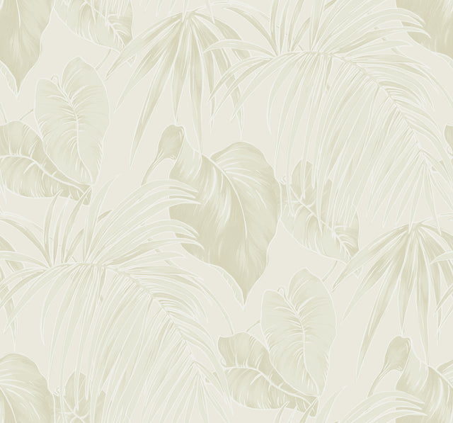 Seabrook Designs TA21605 Wallpaper - Eade's Wallpaper & Fabric