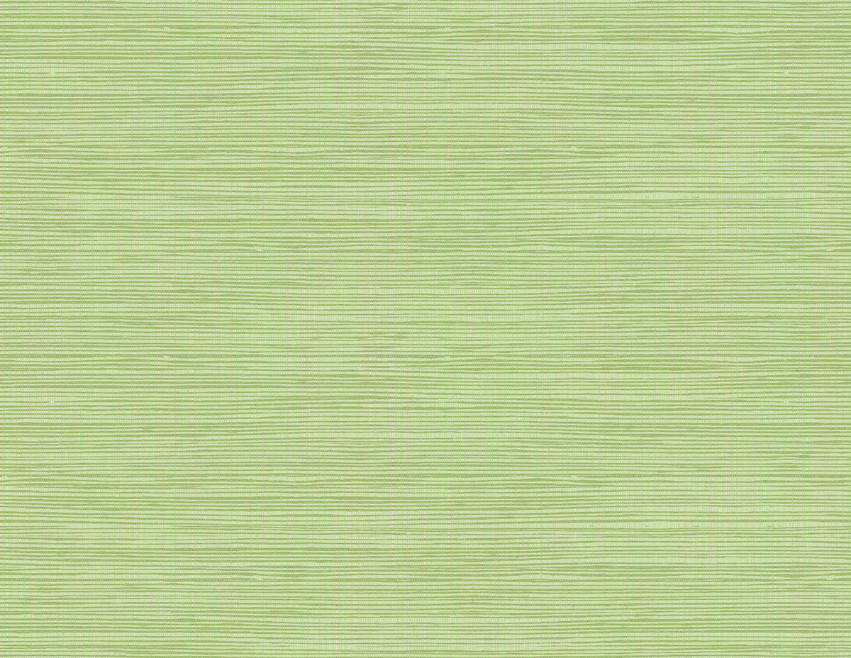 Seabrook Designs TA21704 Wallpaper - Eade's Wallpaper & Fabric