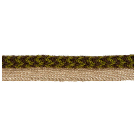 KRAVET DESIGN TA5323.36.0 VINE CORD LICHEN TRIM - Eade's Wallpaper