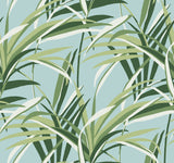 York TC2603 Tropical Paradise Green & Light Blue Wallpaper