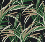 York TC2606 Tropical Paradise Green & Black Wallpaper