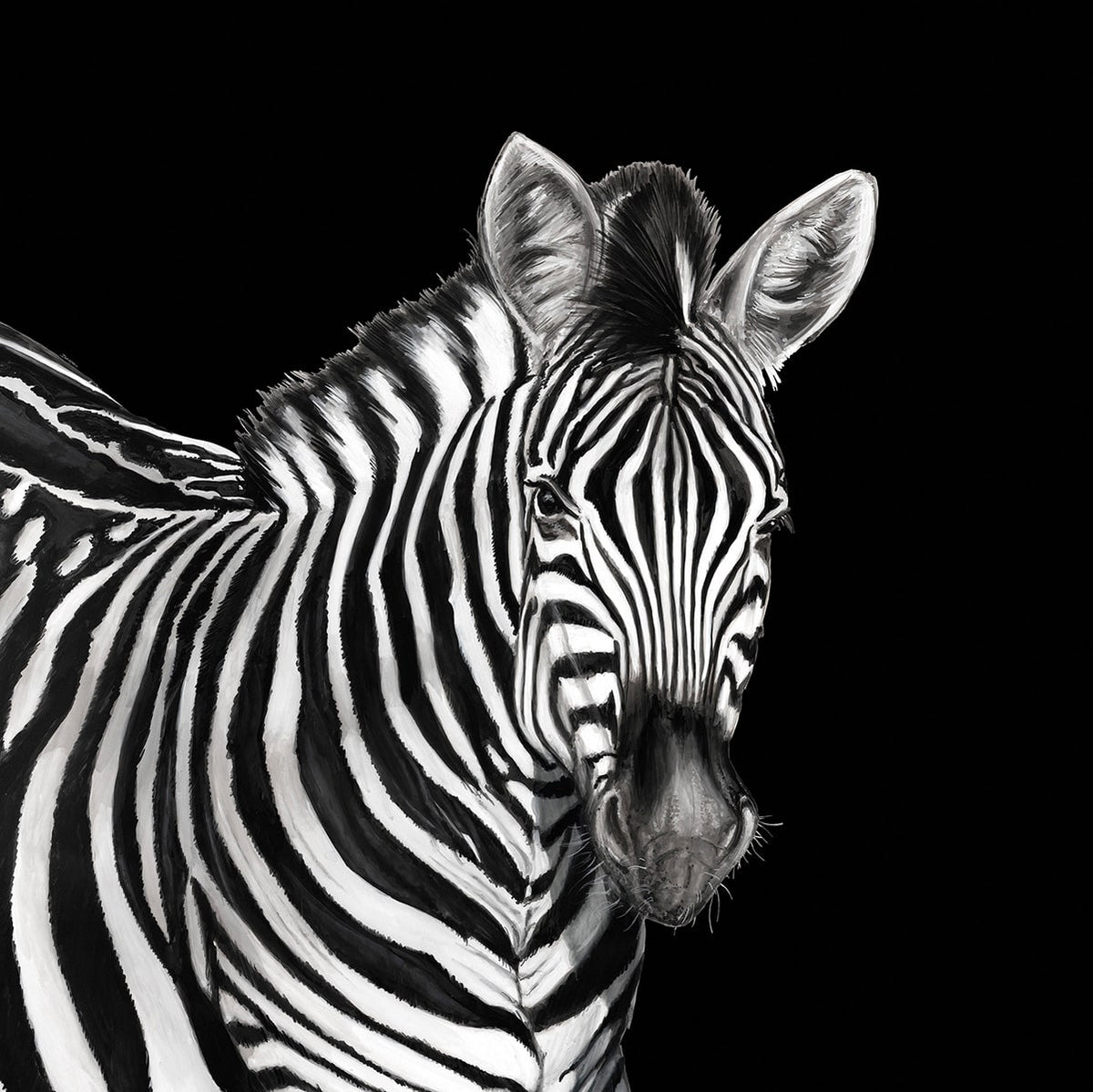 Dolce & Gabbana Casa TCW001TCAI5UZ005 Zebra Mural Wallpaper
