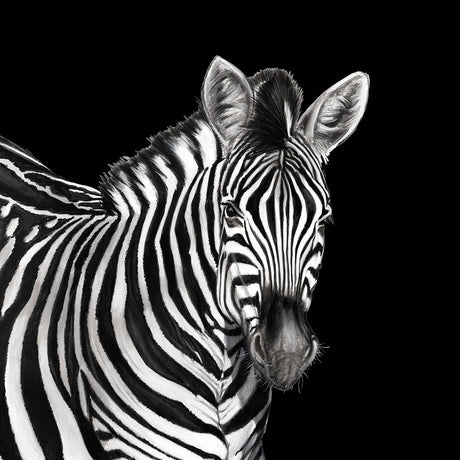 Dolce & Gabbana Casa TCW001TCAI5UZ005 Zebra Mural Wallpaper