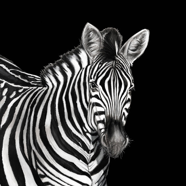 Dolce & Gabbana Casa TCW001TCAI5UZ005 Zebra Mural Wallpaper