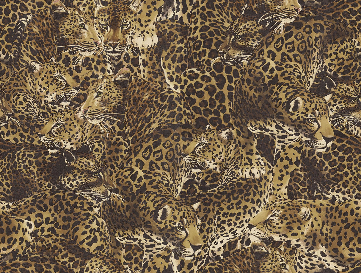 Leopardo Incognito Alessia