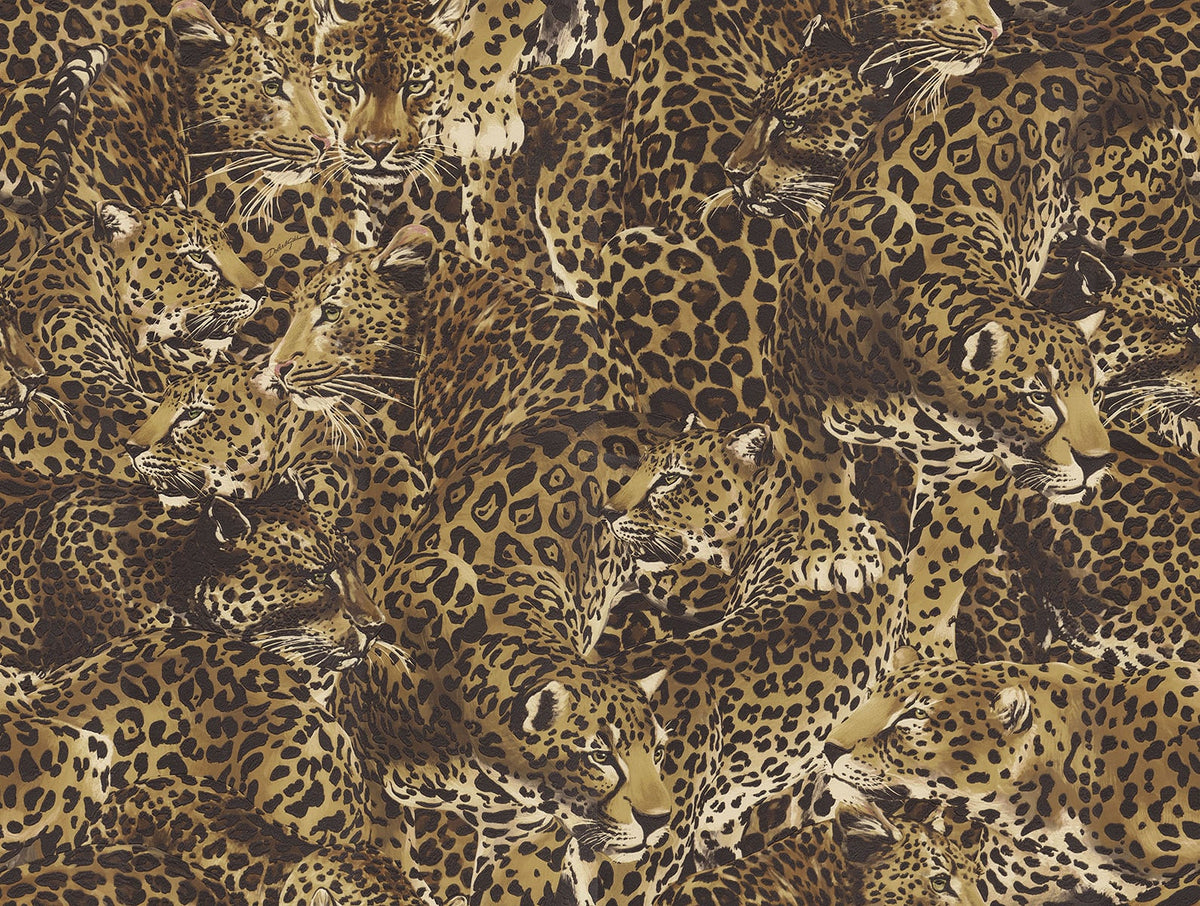 Dolce & Gabbana Casa TCW007TCAHOUL022 Leopardo Incognito Wal