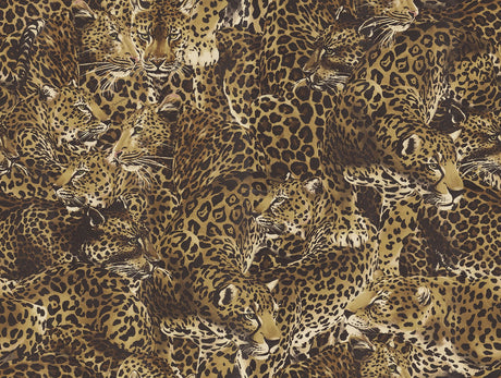 Dolce & Gabbana Casa TCW007TCAHOUL022 Leopardo Incognito Wal