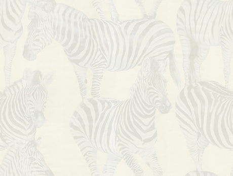 Dolce & Gabbana Casa TCW007TCAHOUZ006 Zebra Romance Wallpape
