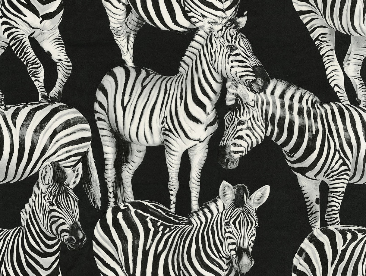 Zebra Romance Contrasto