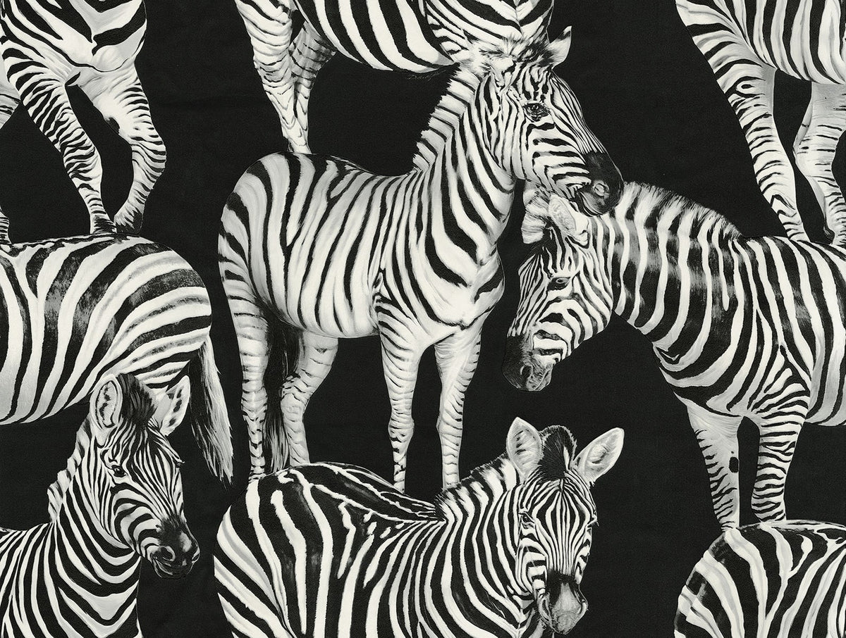 Dolce & Gabbana Casa TCW007TCAHOUZ011 Zebra Romance Wallpape