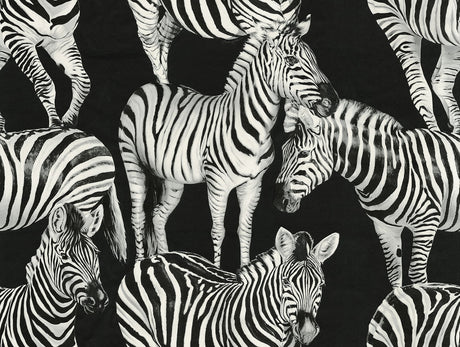 Dolce & Gabbana Casa TCW007TCAHOUZ011 Zebra Romance Wallpape