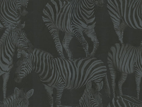 Dolce & Gabbana Casa TCW007TCAHOUZ018 Zebra Romance Wallpape