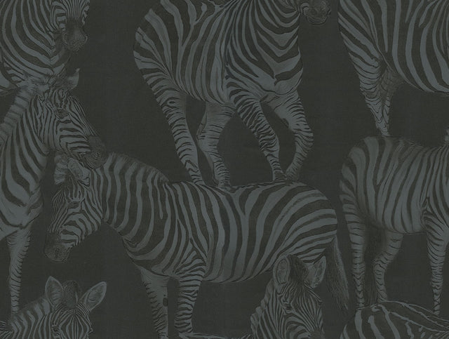 Dolce & Gabbana Casa TCW007TCAHOUZ018 Zebra Romance Wallpape