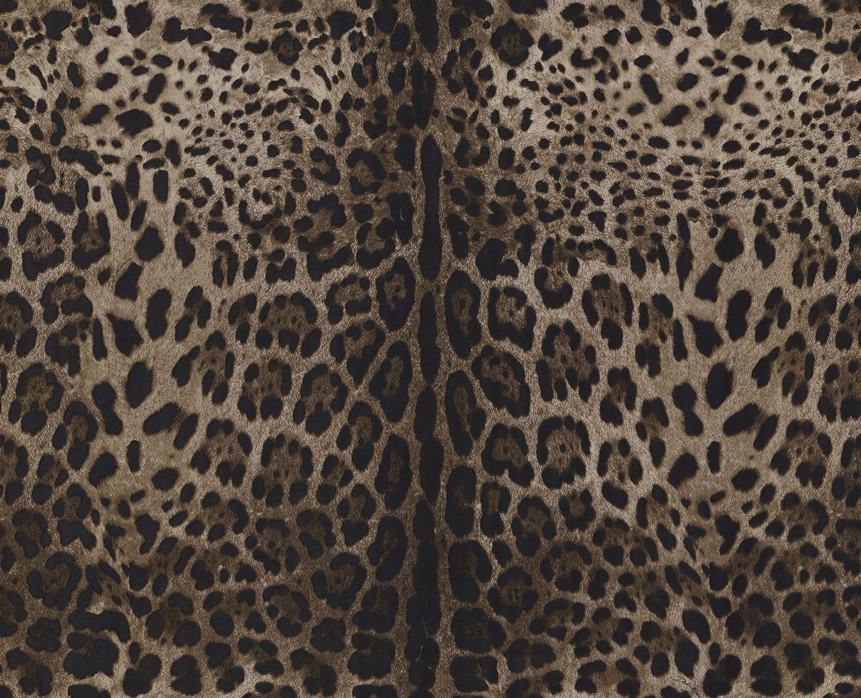 Leopardo Dolce Caterina