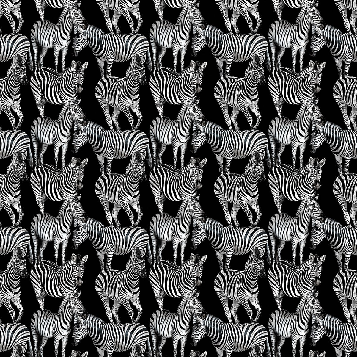 Multi Zebra Mural