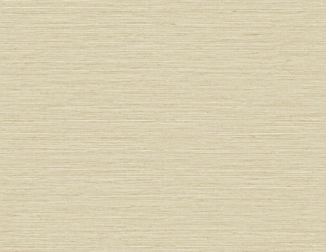 DuPont TG60338 Wallpaper - Eade's Wallpaper & Fabric