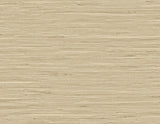 DuPont TG60516 Wallpaper - Eade's Wallpaper & Fabric
