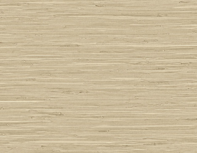 DuPont TG60516 Wallpaper - Eade's Wallpaper & Fabric