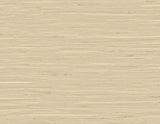 DuPont TG60517 Wallpaper - Eade's Wallpaper & Fabric