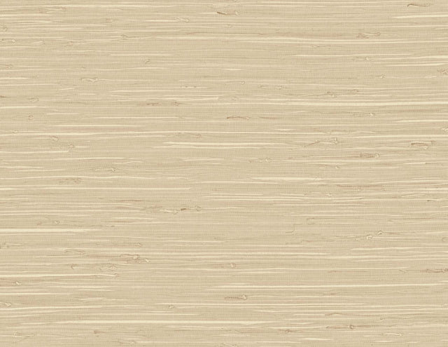 DuPont TG60517 Wallpaper - Eade's Wallpaper & Fabric
