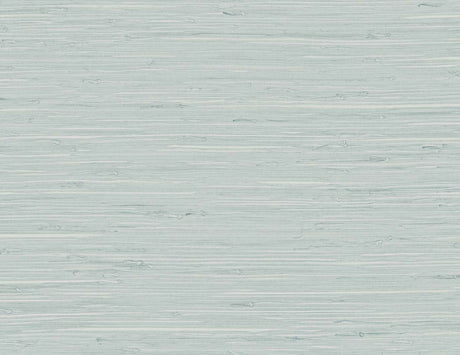 DuPont TG60519 Wallpaper - Eade's Wallpaper & Fabric