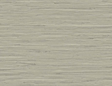 DuPont TG60529 Wallpaper - Eade's Wallpaper & Fabric