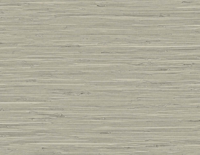 DuPont TG60529 Wallpaper - Eade's Wallpaper & Fabric