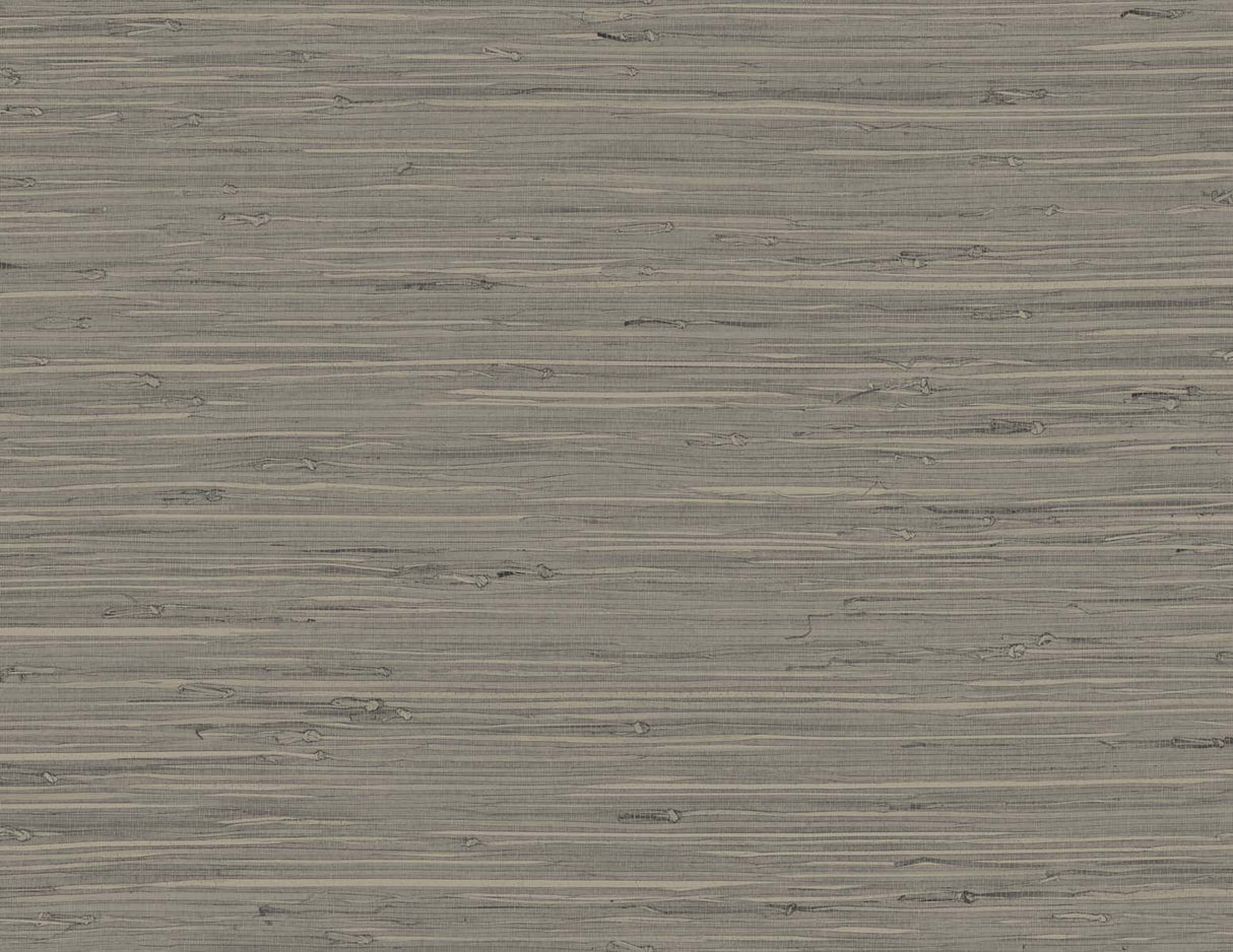DuPont TG60530 Wallpaper - Eade's Wallpaper & Fabric