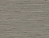 DuPont TG60530 Wallpaper - Eade's Wallpaper & Fabric
