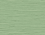 DuPont TG60534 Wallpaper - Eade's Wallpaper & Fabric