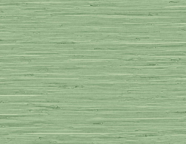 DuPont TG60534 Wallpaper - Eade's Wallpaper & Fabric