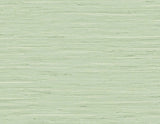 DuPont TG60535 Wallpaper - Eade's Wallpaper & Fabric